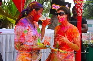 Big Fat Holi Bash 2012