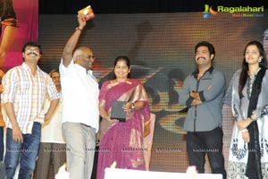 Dhammu Audio Release