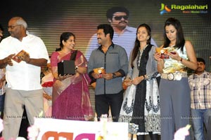 Dhammu Audio Release