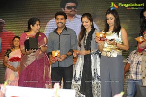 Dhammu Audio Release