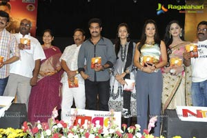 Dhammu Audio Release