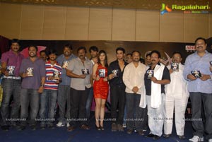 Disco Audio Release