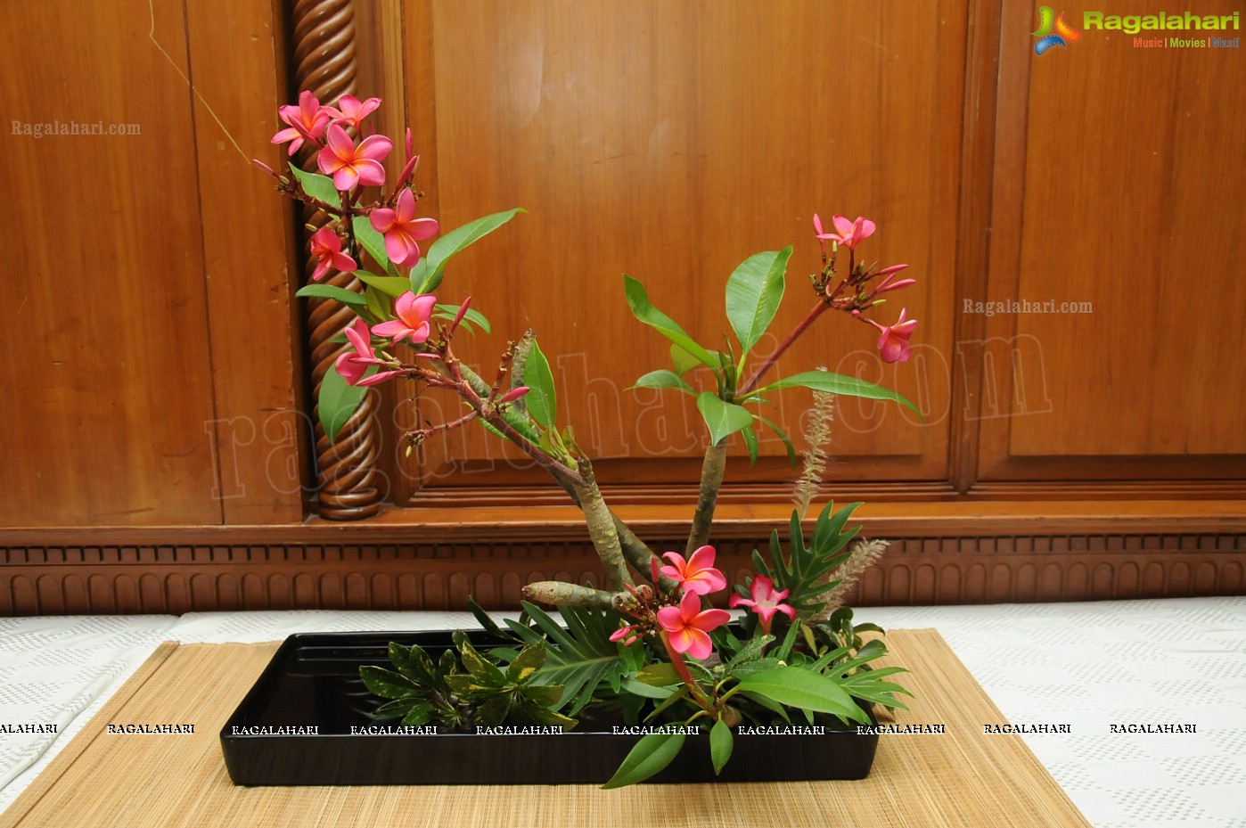 'Shashtika' Ikebana Exhibition