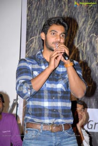 Lovely Audio Success Meet