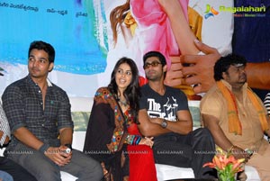 Naa Ishtam Audio Success Meet