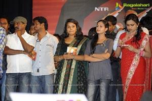 Dammu Audio Release