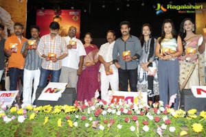 Dammu Audio Release