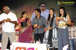 Dammu Audio Release