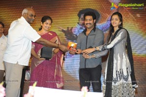 Dammu Audio Release