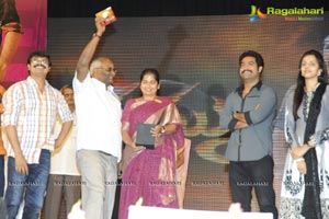 Dammu Audio Release