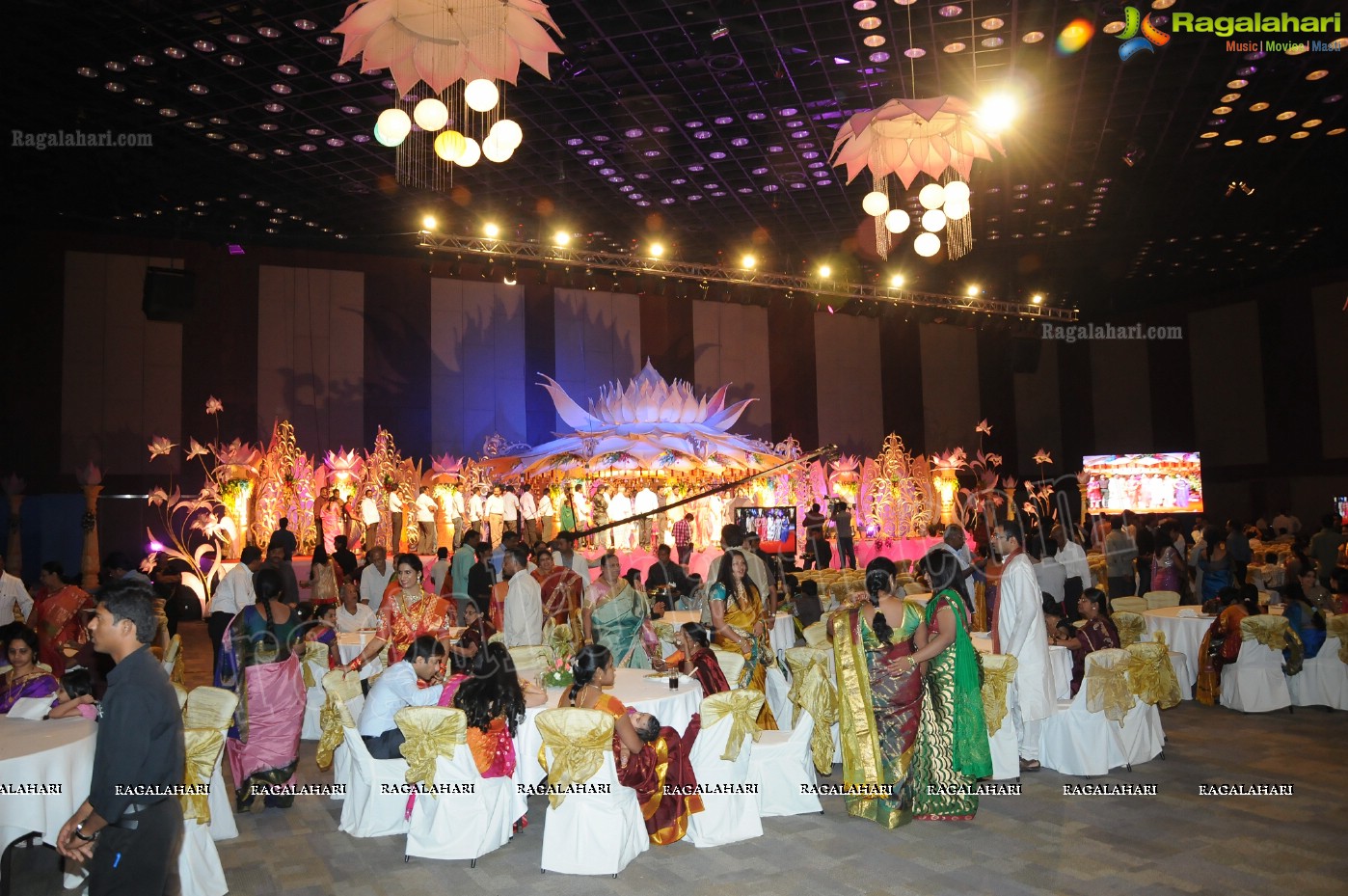 Param Madireddy Weddding Reception 