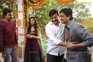 Sunil-Isha Chawla Film Muhurat