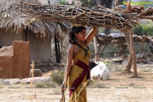 Aadi Pinishetty, Dasnika, Anjali