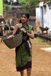 Aadi Pinishetty, Dasnika, Anjali