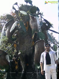 Udaytej, Bhanu Sri Mehra