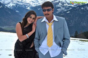 Darshan, Namitha