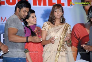 Gundello Godari Success Meet