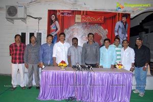 Mr Pellikoduku Success Meet