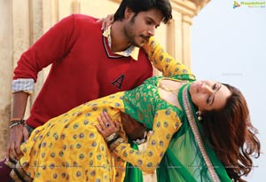 DK Bose Movie Stills