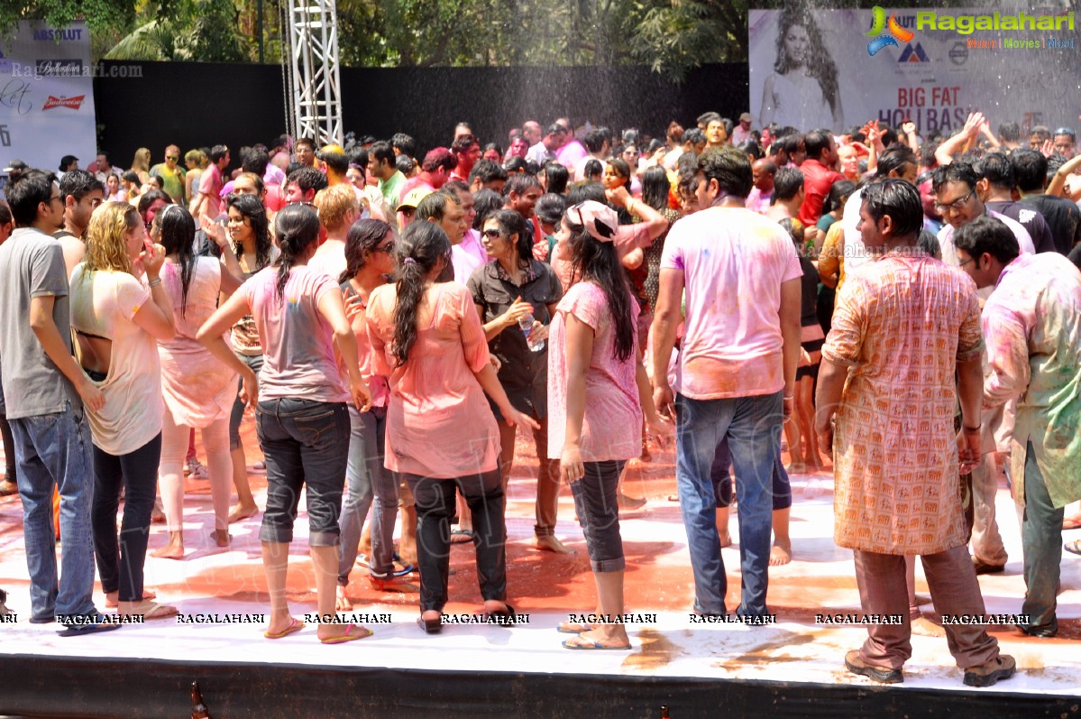 Big Fat Holi Bash 2013 - by Bisket & AA