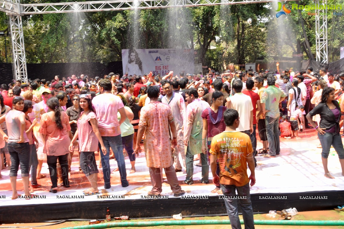 Big Fat Holi Bash 2013 - by Bisket & AA