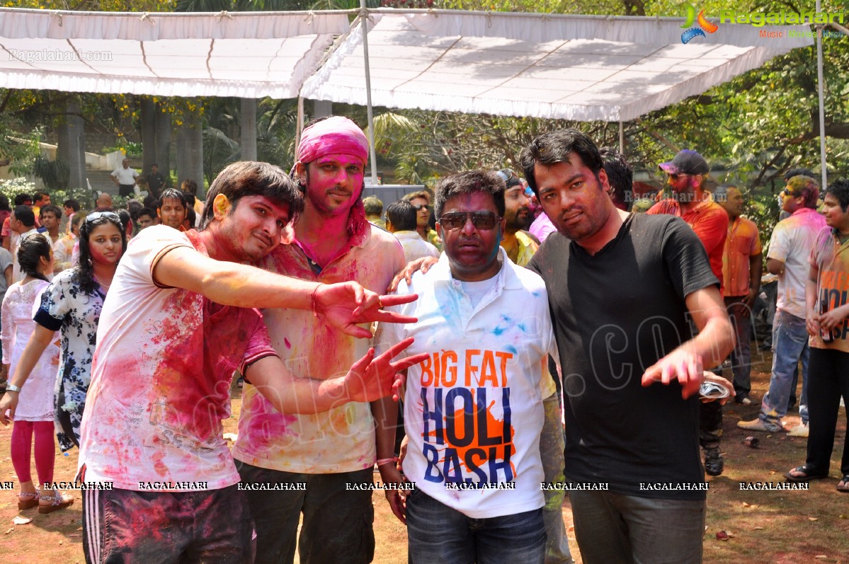 Big Fat Holi Bash 2013 - by Bisket & AA