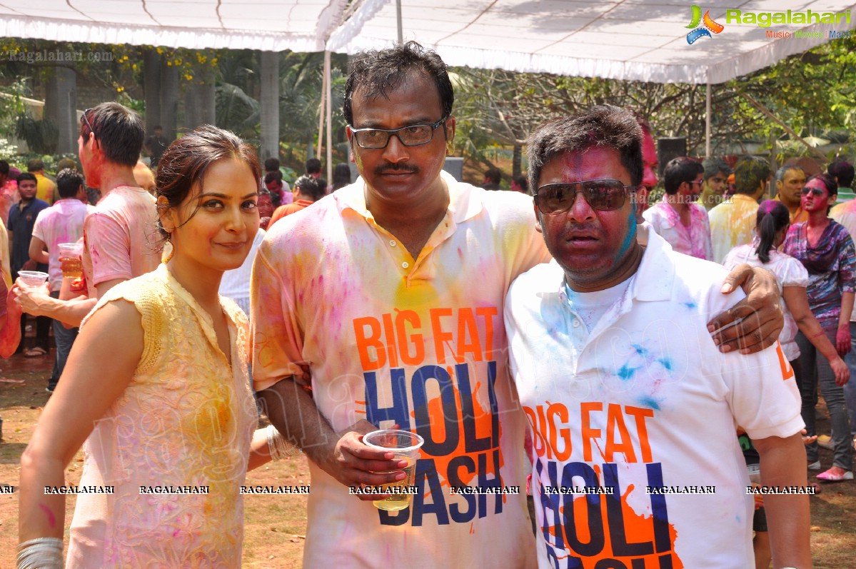 Big Fat Holi Bash 2013 - by Bisket & AA