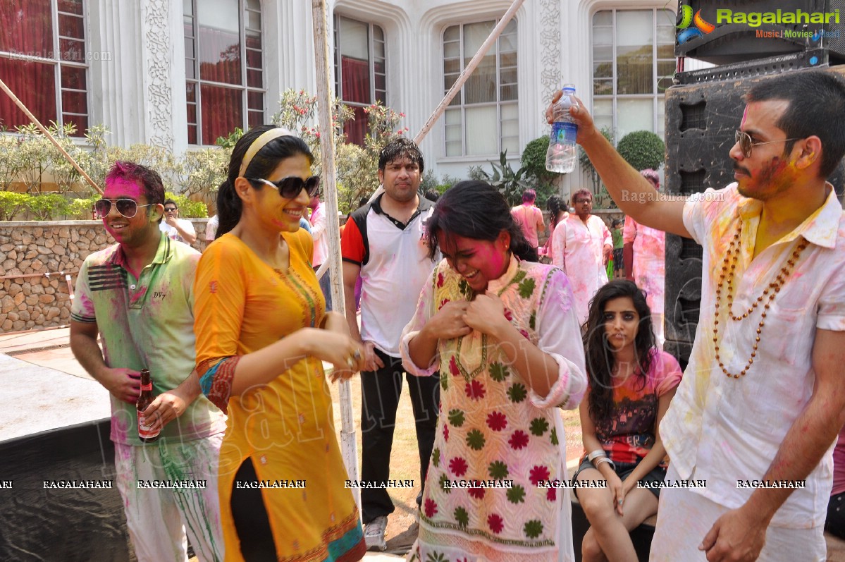 Big Fat Holi Bash 2013 - by Bisket & AA