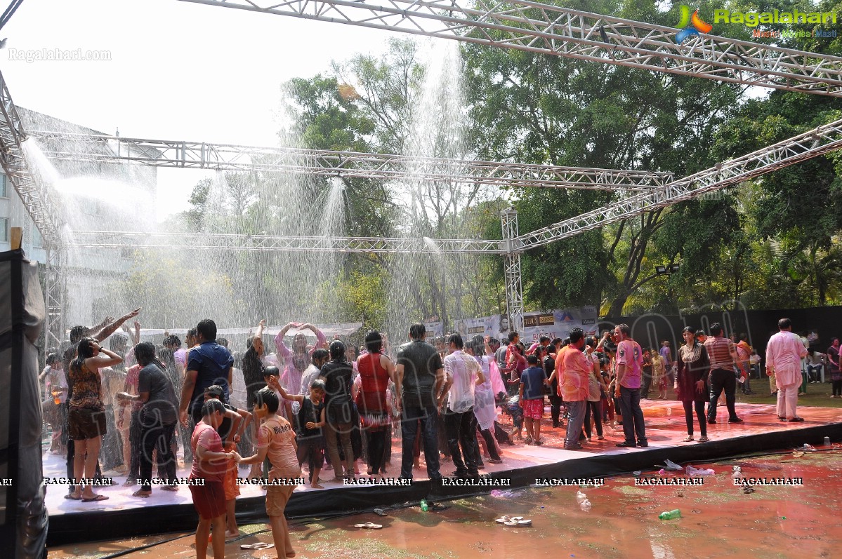 Big Fat Holi Bash 2013 - by Bisket & AA