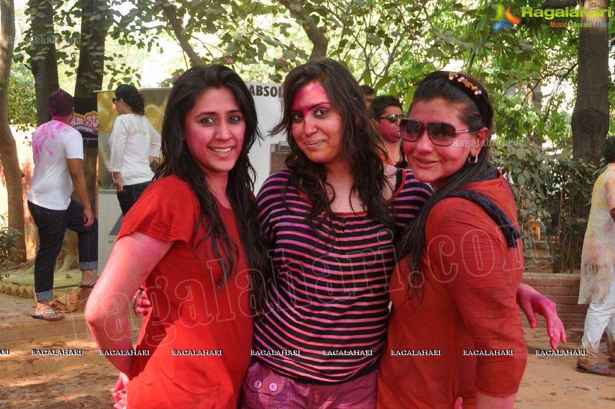 Big Fat Holi Bash 2013 - by Bisket & AA