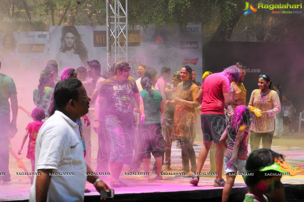 Big Fat Holi Bash 2013 - by Bisket & AA