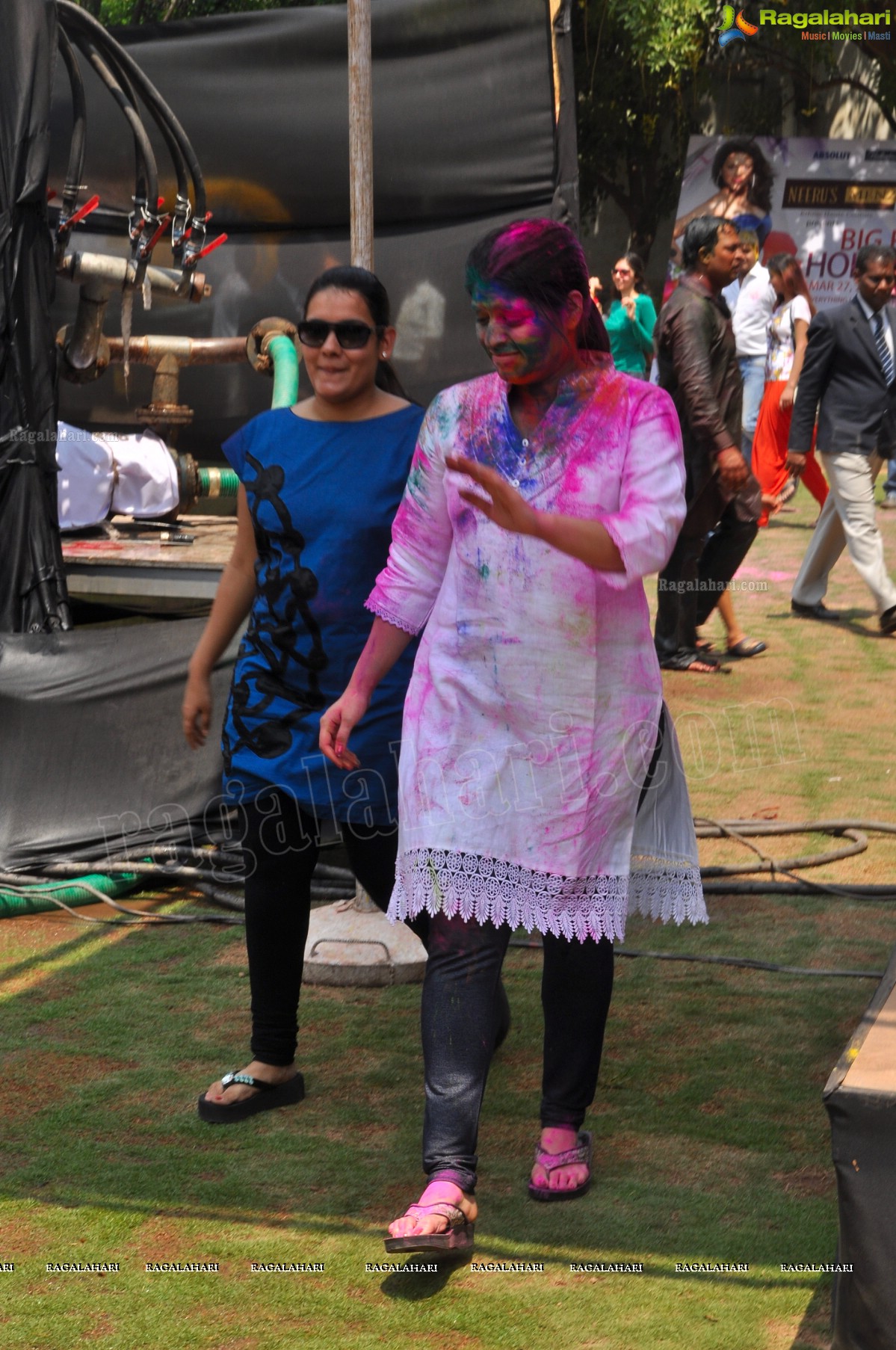 Big Fat Holi Bash 2013 - by Bisket & AA