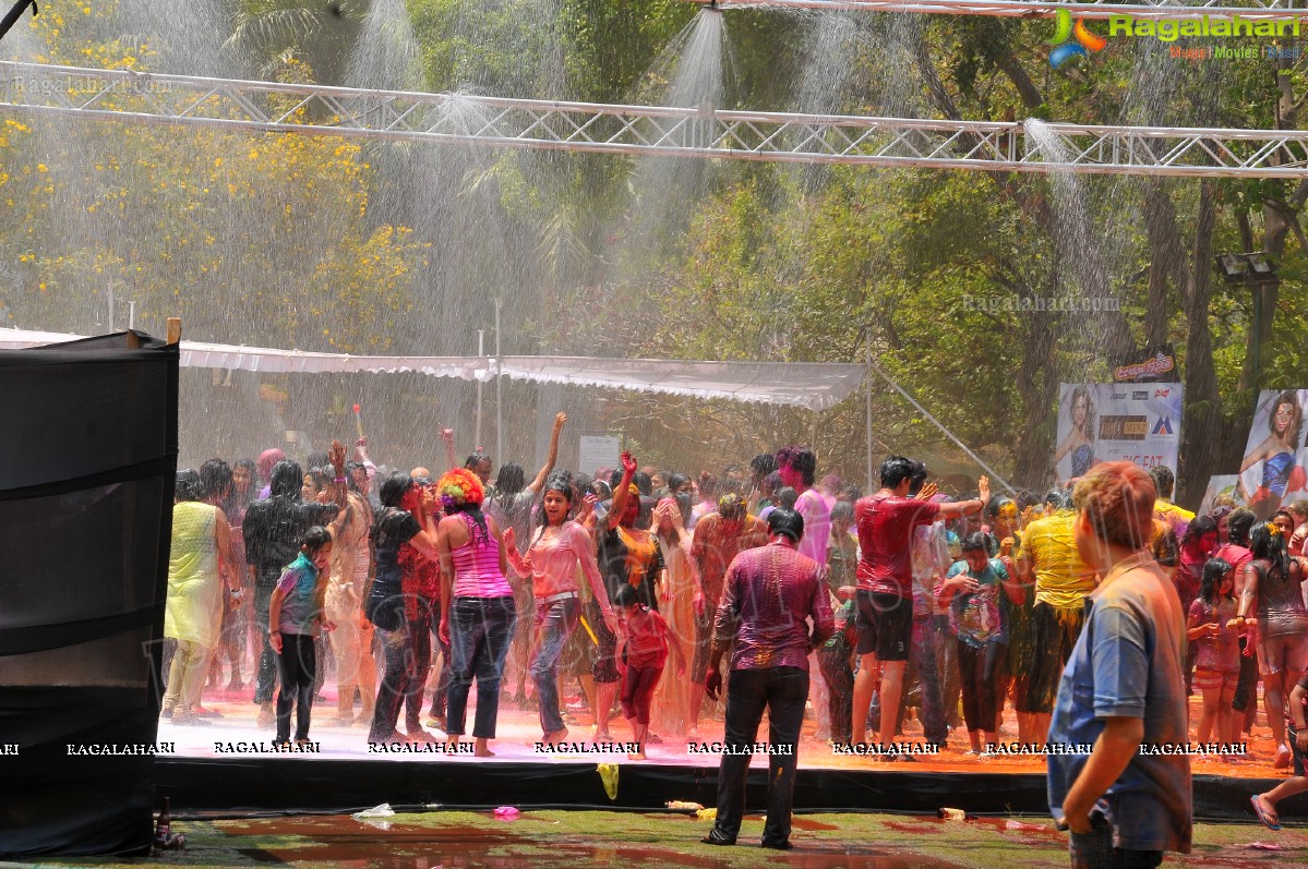 Big Fat Holi Bash 2013 - by Bisket & AA