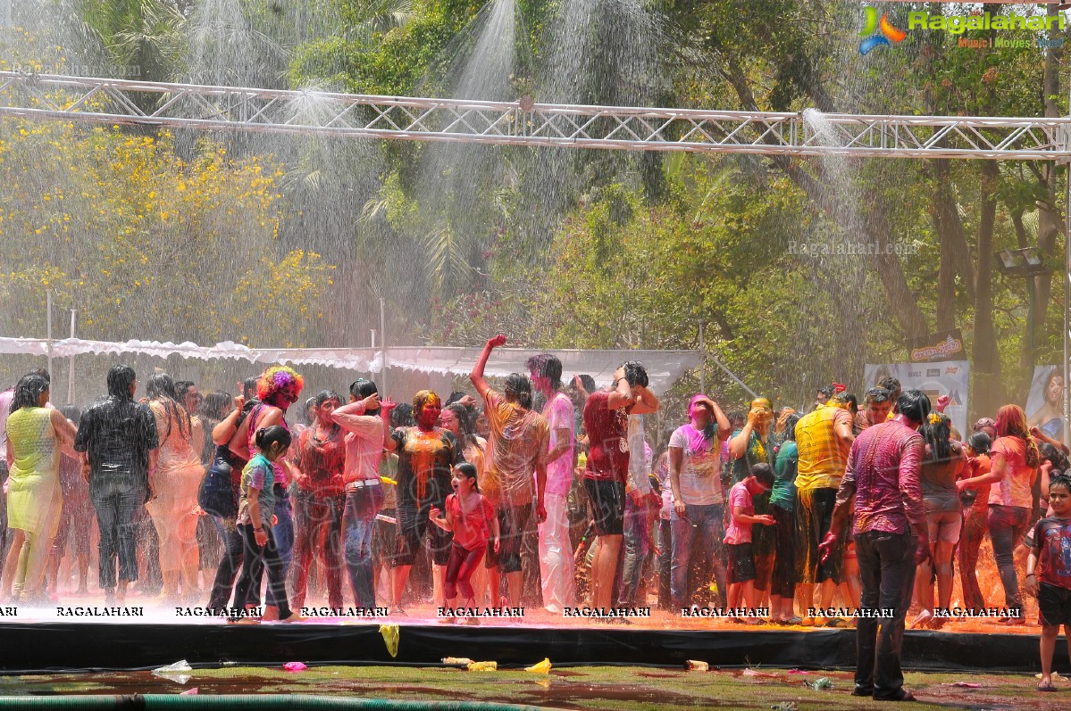 Big Fat Holi Bash 2013 - by Bisket & AA