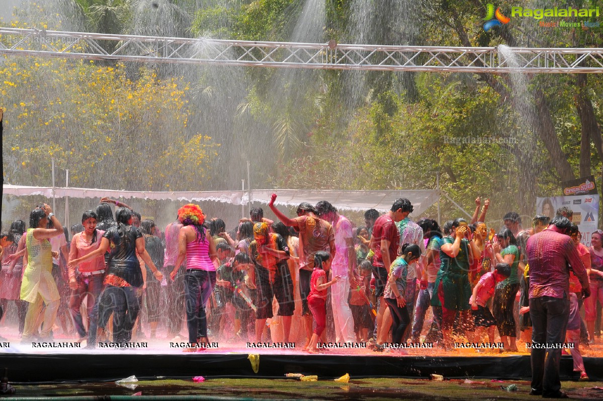 Big Fat Holi Bash 2013 - by Bisket & AA