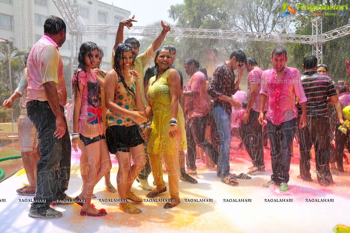 Big Fat Holi Bash 2013 - by Bisket & AA