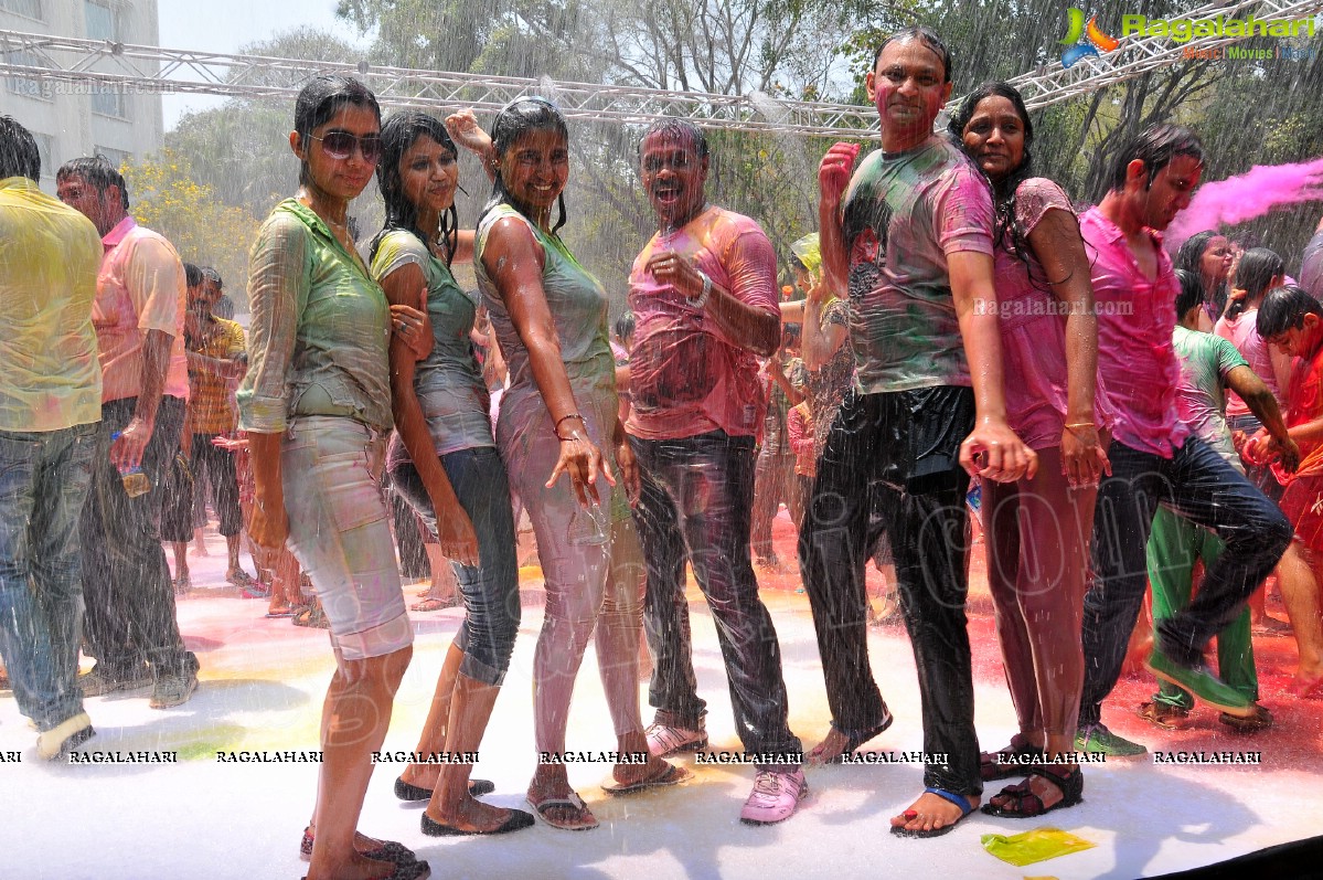 Big Fat Holi Bash 2013 - by Bisket & AA