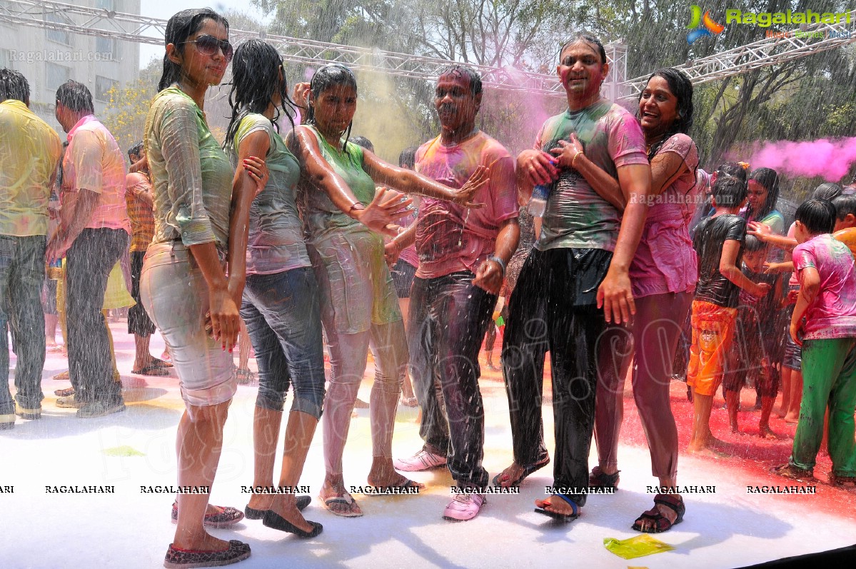 Big Fat Holi Bash 2013 - by Bisket & AA