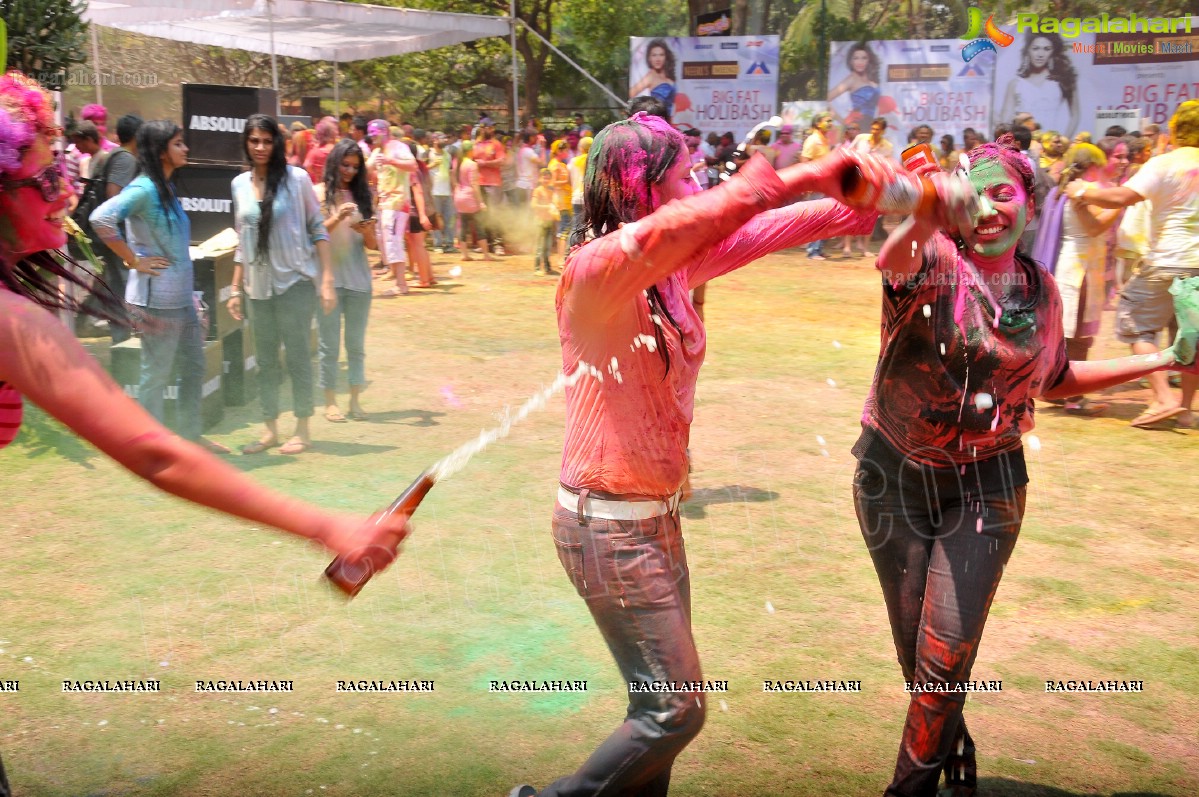 Big Fat Holi Bash 2013 - by Bisket & AA