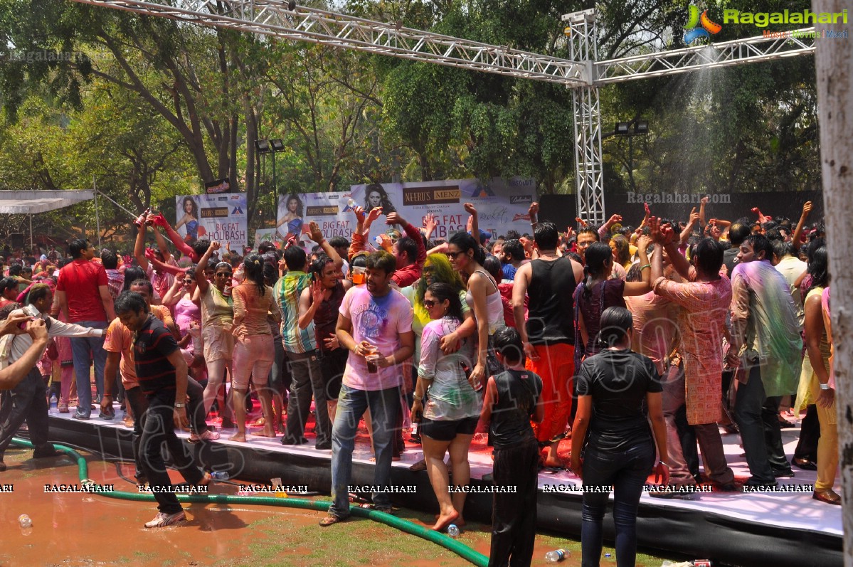 Big Fat Holi Bash 2013 - by Bisket & AA