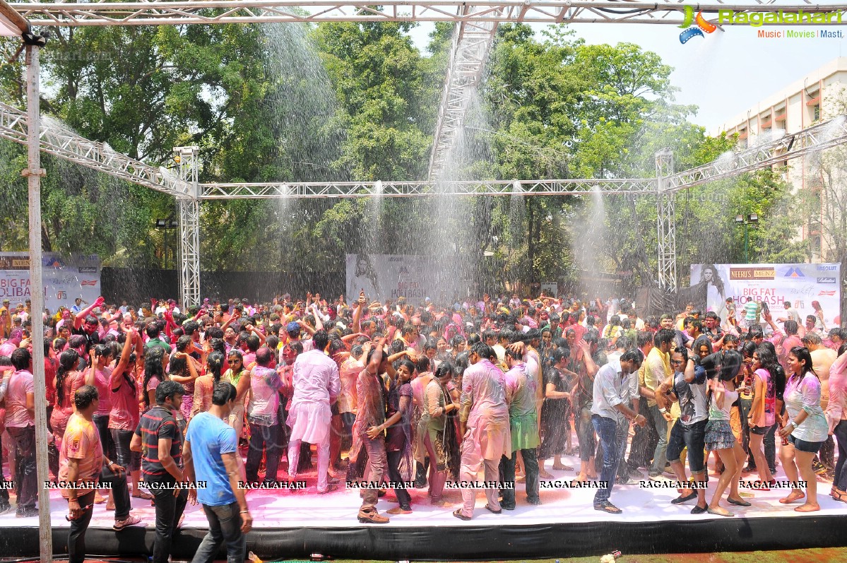 Big Fat Holi Bash 2013 - by Bisket & AA