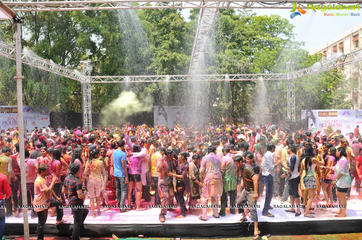 Big Fat Holi Bash 2013 - by Bisket & AA