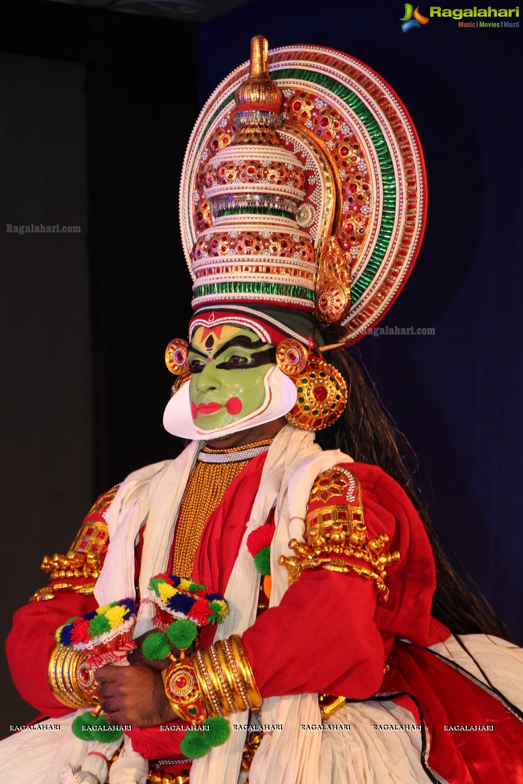 Festival of South India (FoSI) Curtain Raiser Event