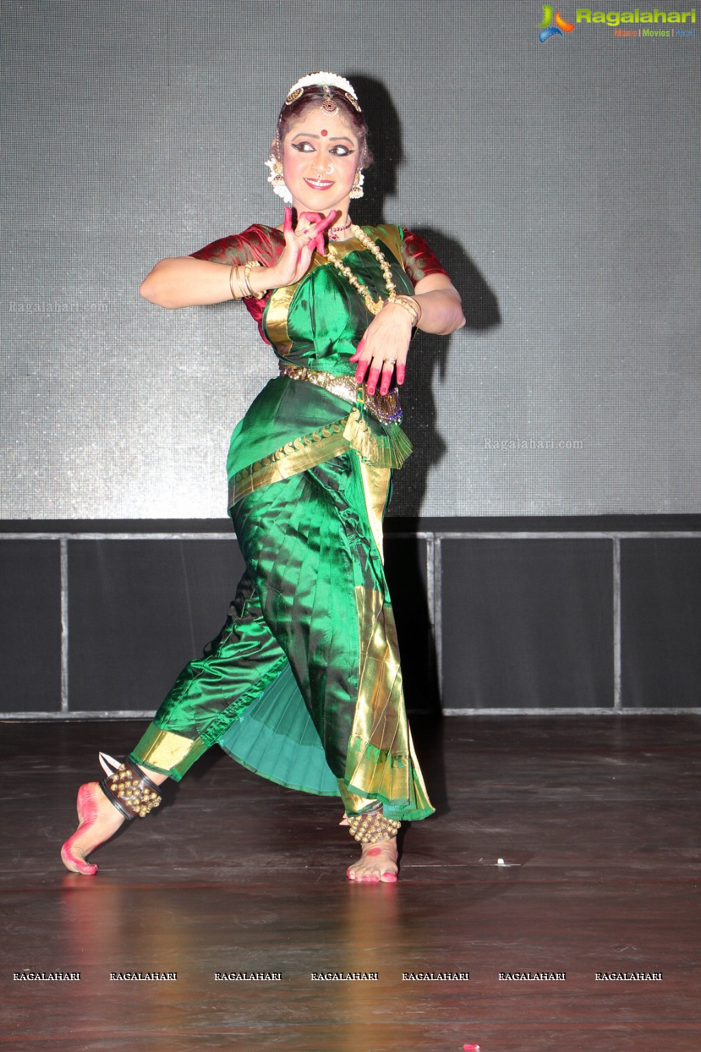 Festival of South India (FoSI) Curtain Raiser Event