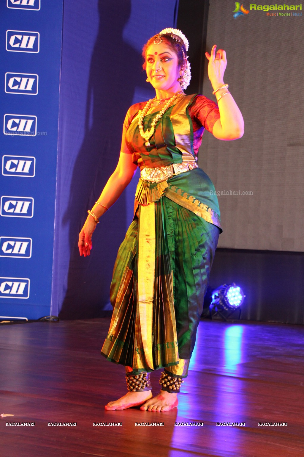 Festival of South India (FoSI) Curtain Raiser Event