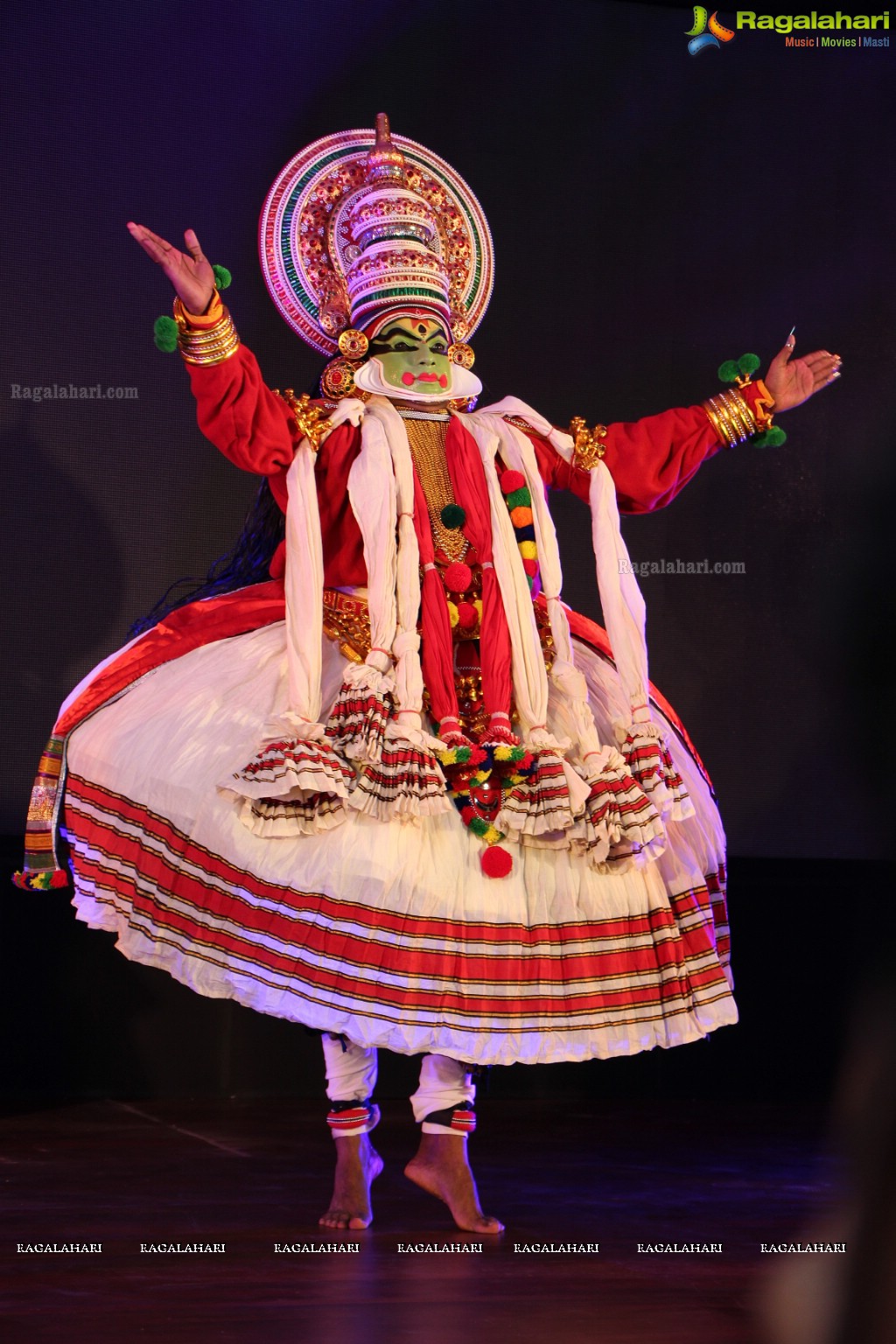 Festival of South India (FoSI) Curtain Raiser Event