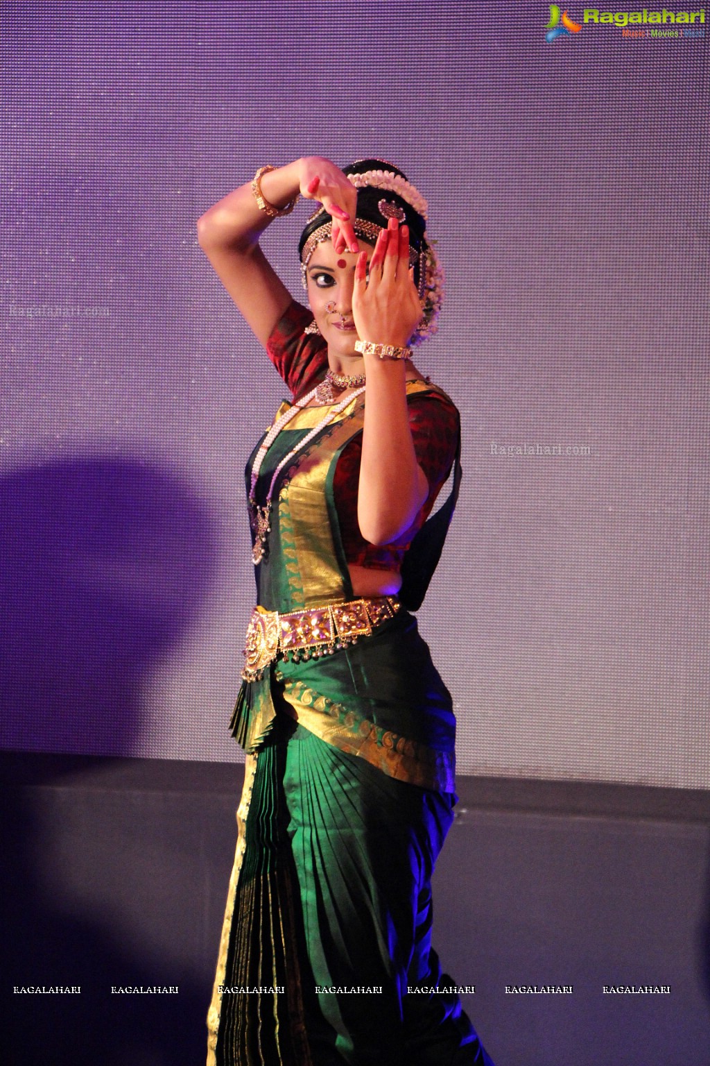 Festival of South India (FoSI) Curtain Raiser Event