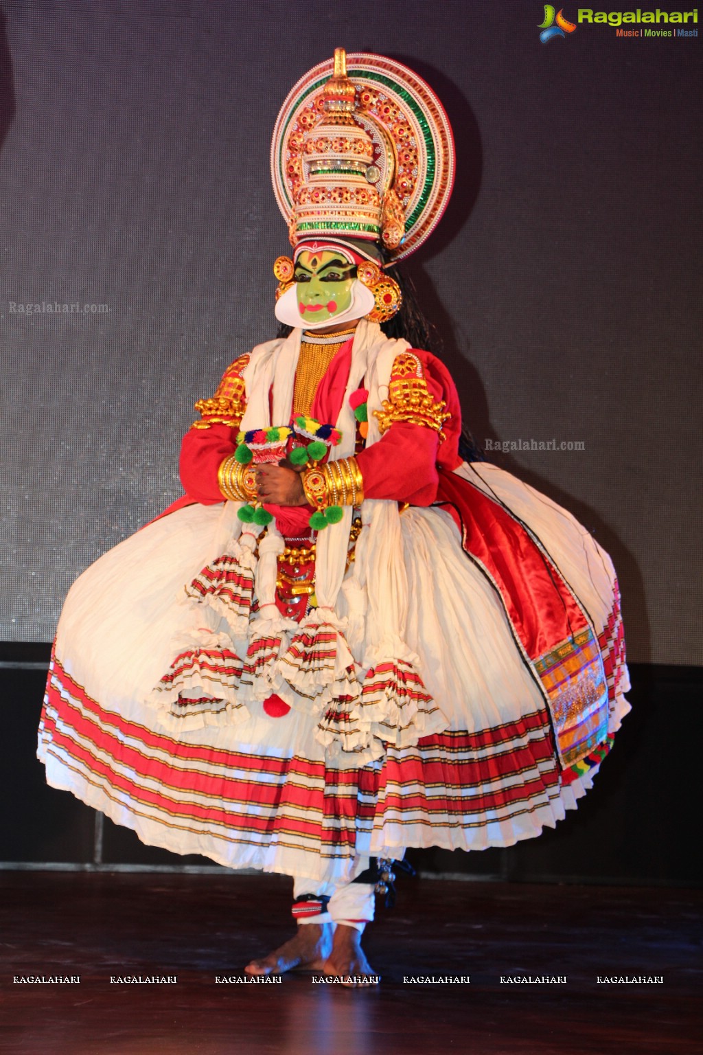 Festival of South India (FoSI) Curtain Raiser Event