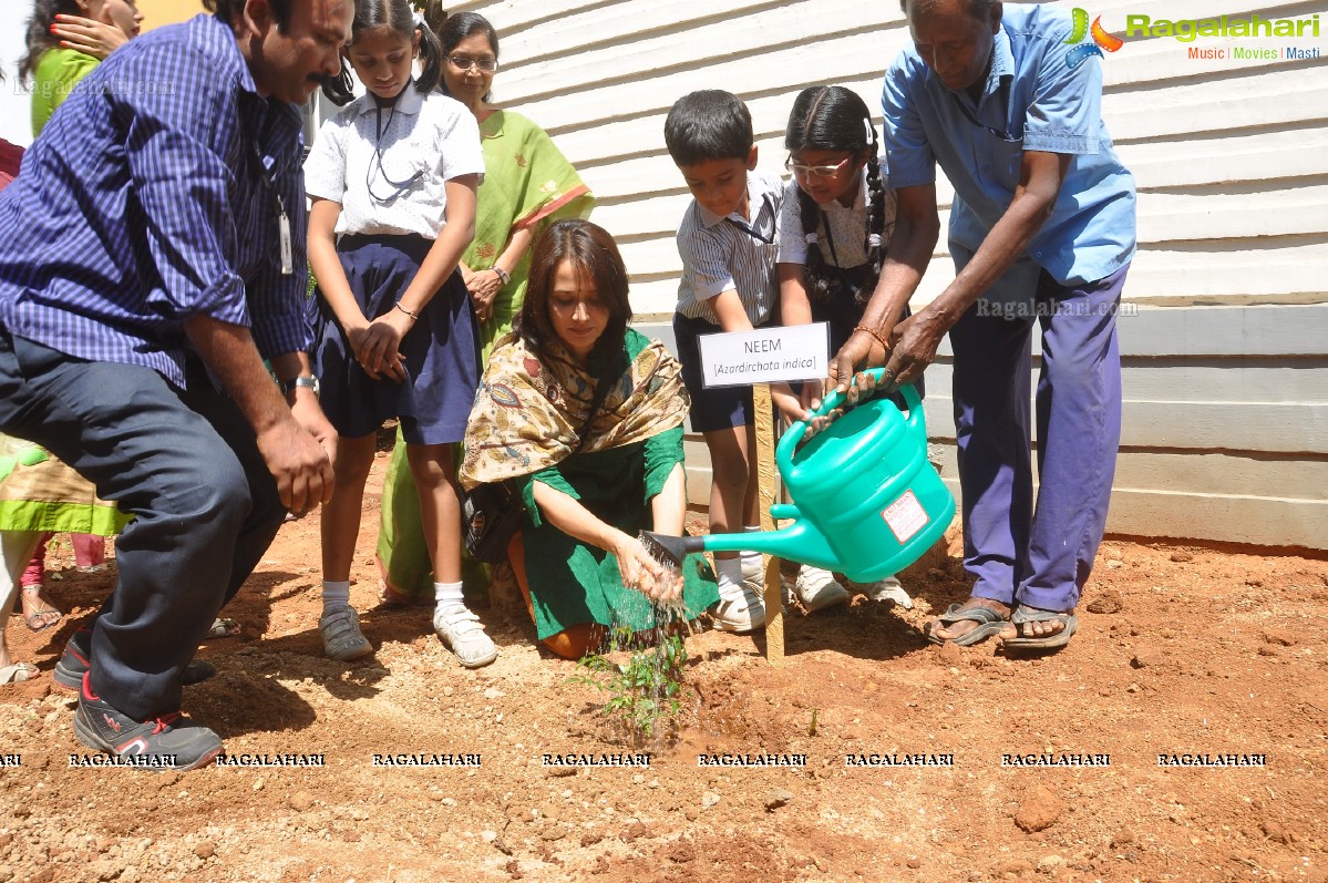 FICCI Go Green Activity at Chirec Public School, Hyderabad