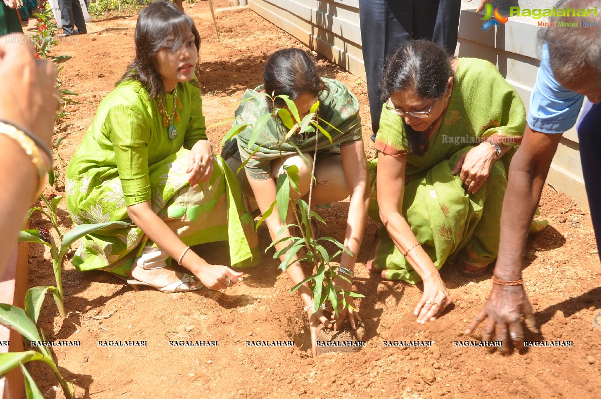 FICCI Go Green Activity at Chirec Public School, Hyderabad